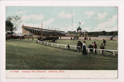 CT, Danbury - Fair Grounds, @1910 Langsdorf postcard - 400106