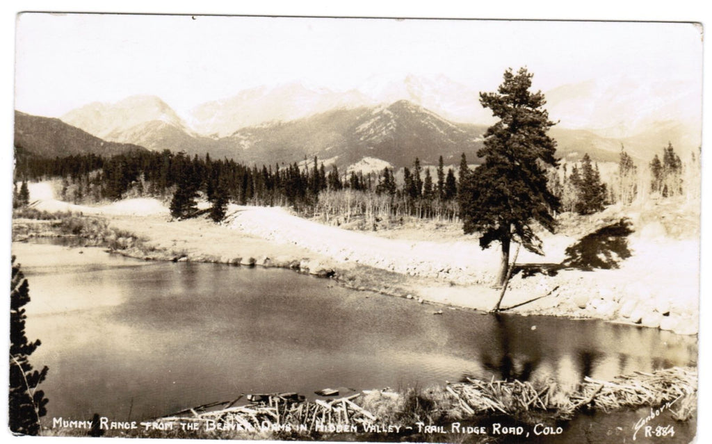 CO, HIDDEN VALLEY - Trail Ridge Rd, Mummy Range from Beaver Dams - RPPC - 500643