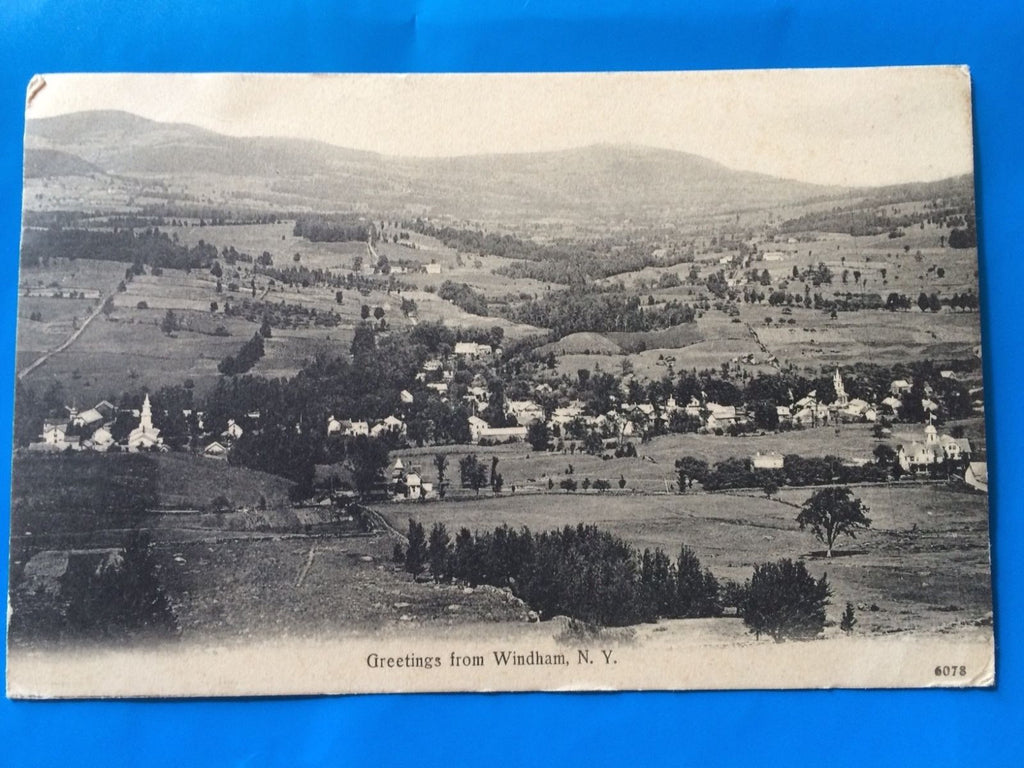 NY, WINDHAM - Greetings From showing Bird Eye view of town - H15044