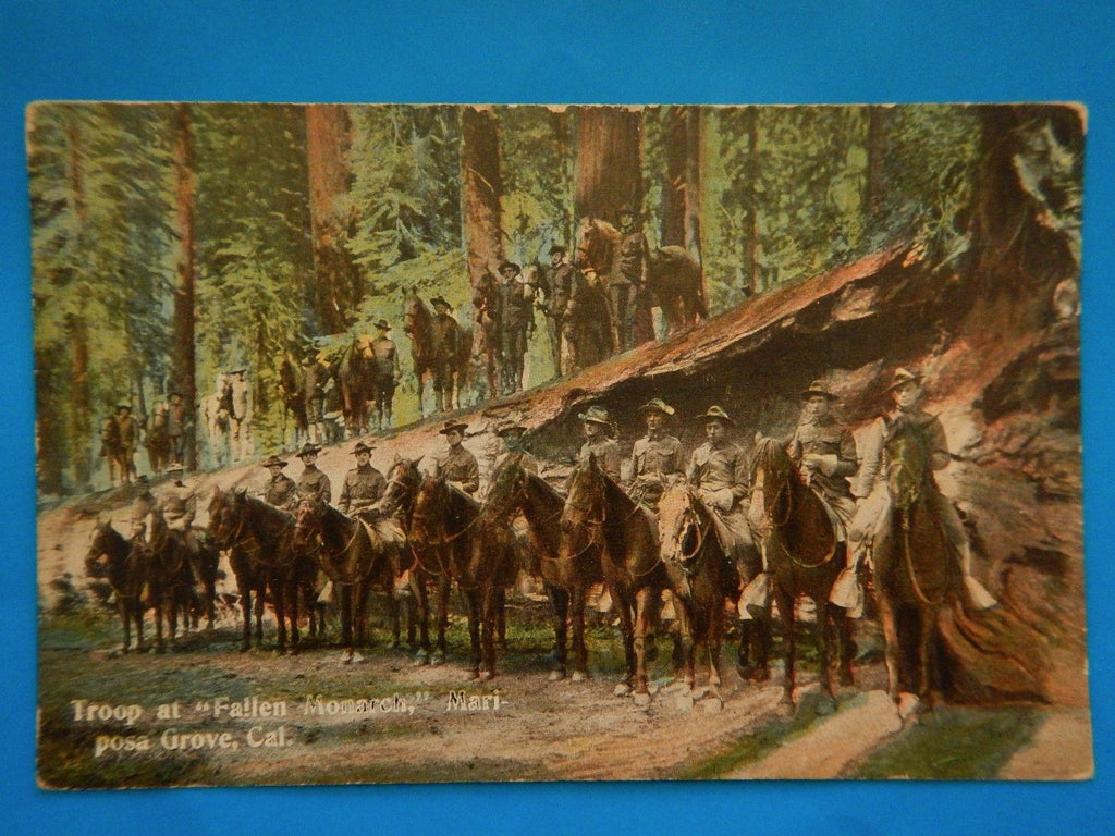 CA, MARIPOSA GROVE - Troop at FALLEN MONARCH, men on horses - D04015
