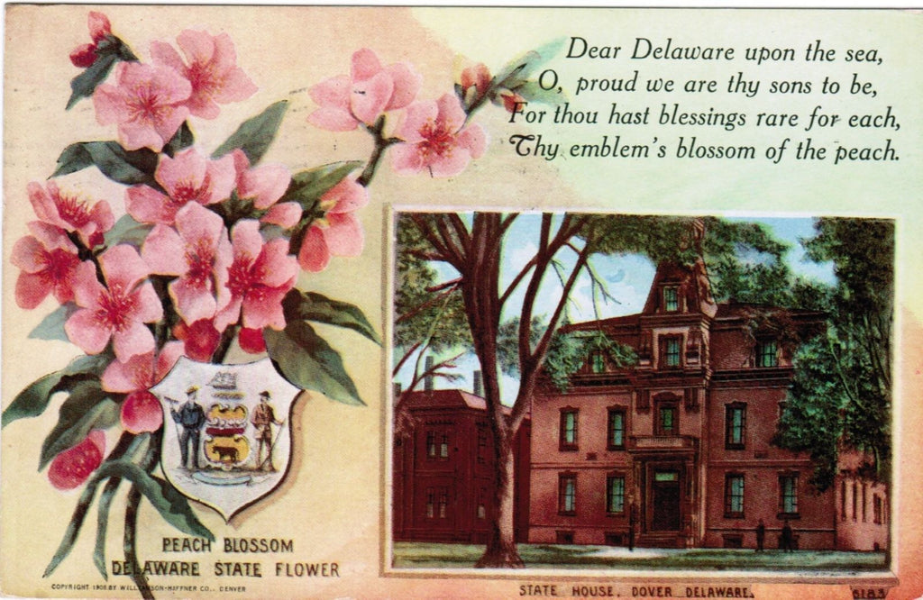 DE, Dover - Peach Blossom State Flower - Williamson Haffner card - w00968