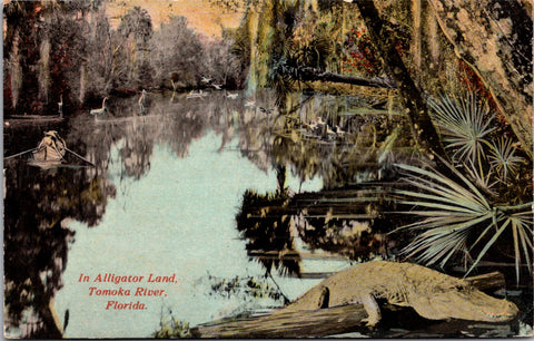 FL, Tomoka River Alligator Land - Alligator, small boat postcard - 700142