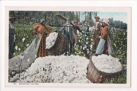 Black Americana - Weighing Cotton in field with hand scale - E10559