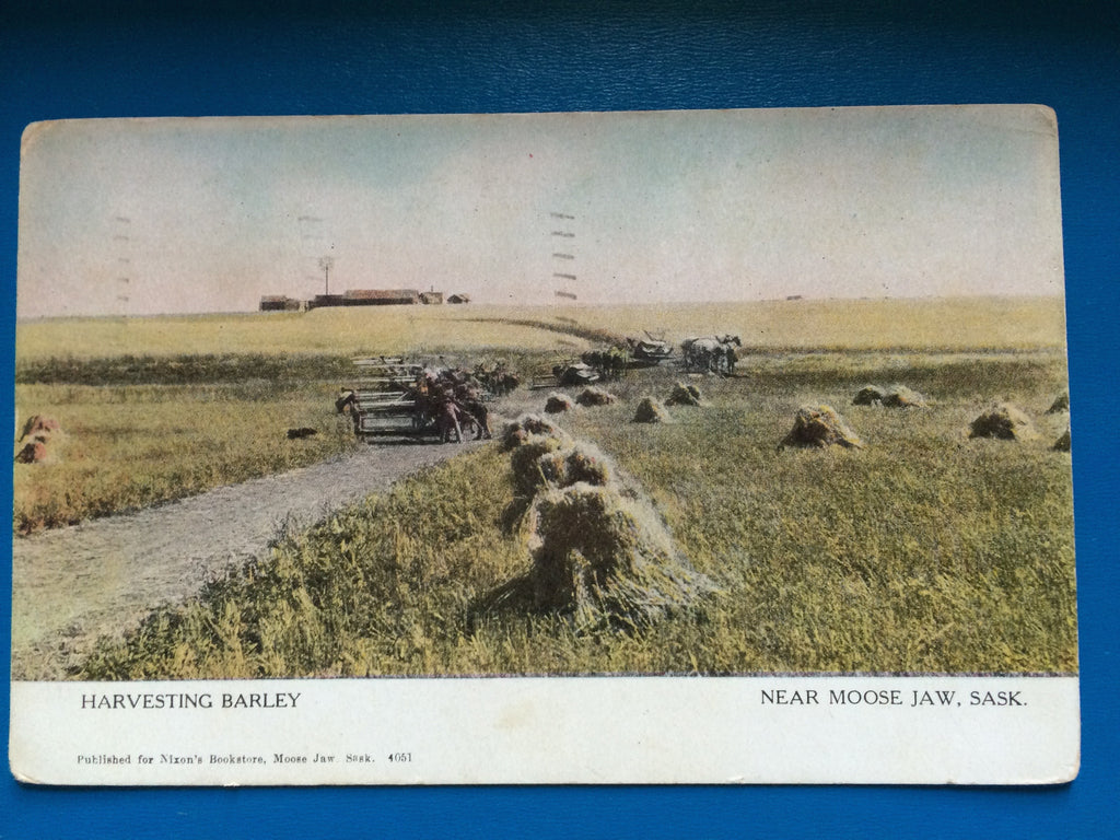 Canada - MOOSE JAW, SK - Harvesting Barley postcard - S01638