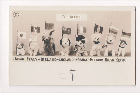 MISC - Military - The Allies - 8 dogs along with flags - RPPC - C06720