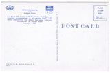 NC, Fayetteville - Betsy Ross Motel postcard - w01052