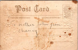 Animal - Dog or Dogs - PUG, PUGS postcard - 201157