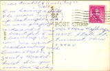 MI, BLACK LAKE - Bear Cub closeup - 1964 postcard - 2k0672