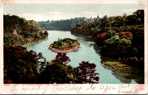 NY, ROCHESTER - Genesee Seneca Park - Detroit Photographic postcard - 2k1532