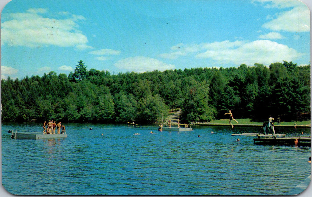 NY, LAURENS - Gilbert Lake State Park - kids, docks etc postcard - 2k1648