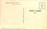 Animal - Dog or Dogs - DOBERMAN PINSCHER postcard - 2k1655