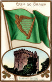 St Patrick - St Patricks Day - Erin go Bragh - Julius Bien postcard - 2k0094