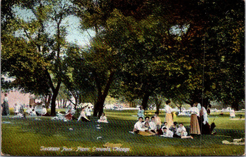IL, Chicago Illinois - Jackson Park Picnic Grounds, people postcard