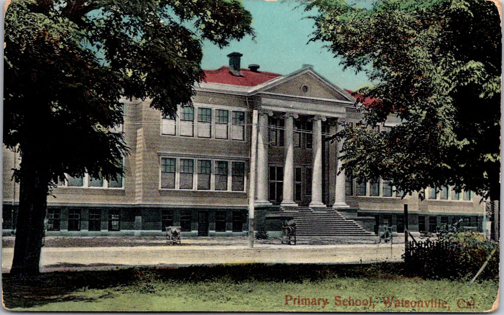 CA, Watsonville - Primary School - P Sluis - Drukwerk postcard - 2k1681