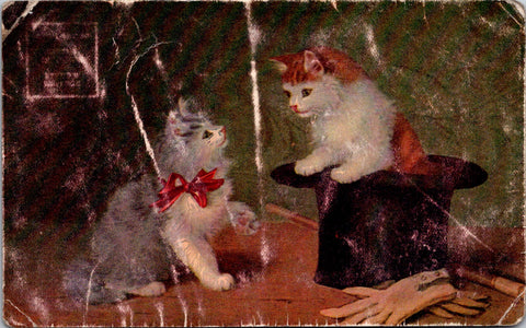 Animal - Cat or Cats postcard - cat in a top hat - 400638