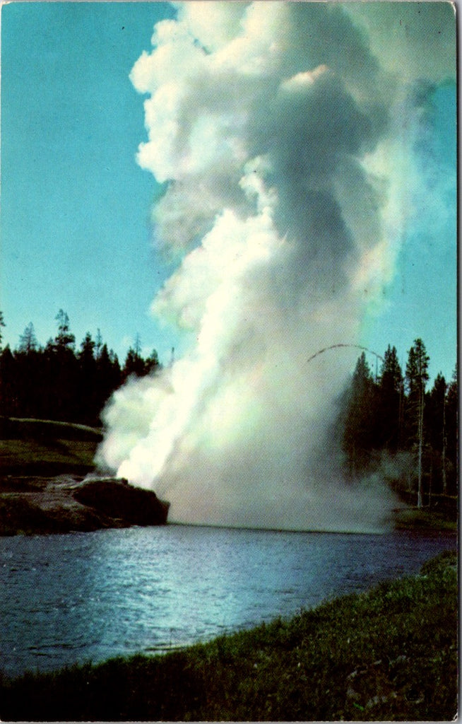 WY, YELLOWSTONE - Riverside Geyser close-up, Yellowstone Park postcard - 500370