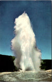 WY, YELLOWSTONE - Old Faithful Geyser, Yellowstone Park postcard - 500463