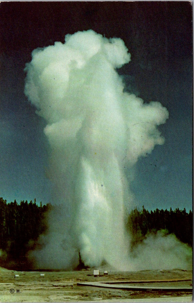 WY, YELLOWSTONE - Giant Geyser close-up, Yellowstone Park postcard - 500466
