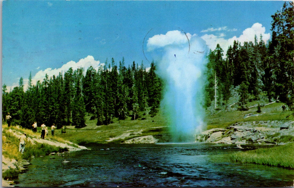WY, YELLOWSTONE - Riverside Geyser close-up, Yellowstone Park postcard - 500476
