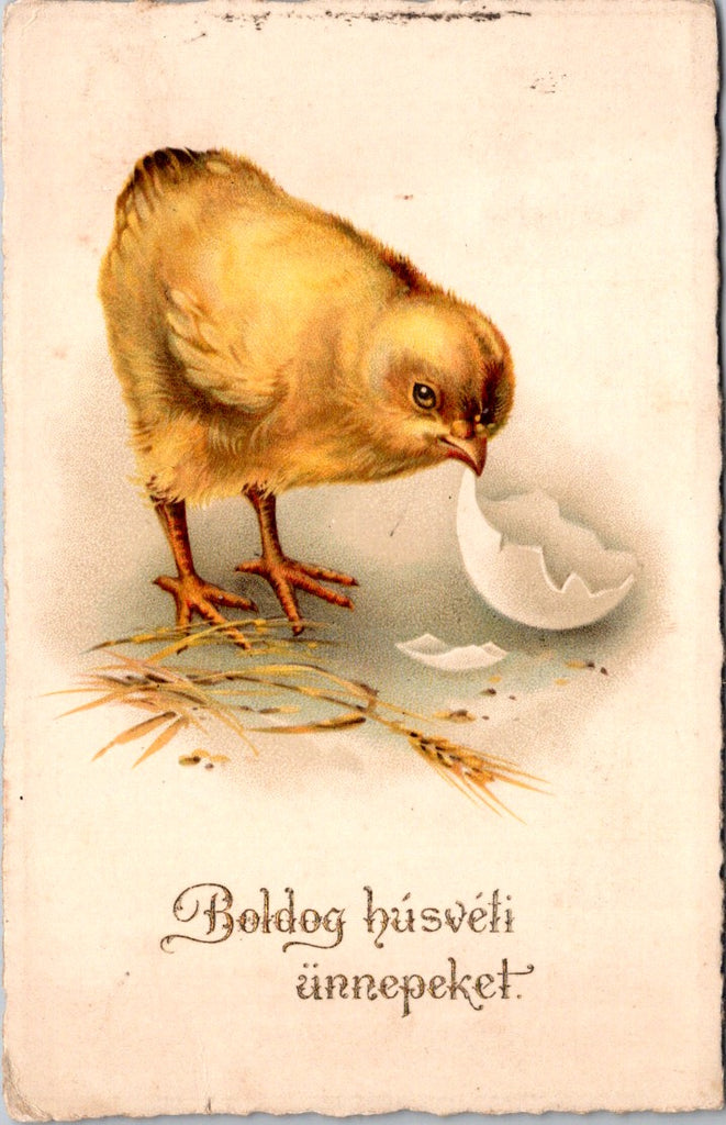 Easter - Boldog Husveti Unnepeket - chick and egg postcard - 500706