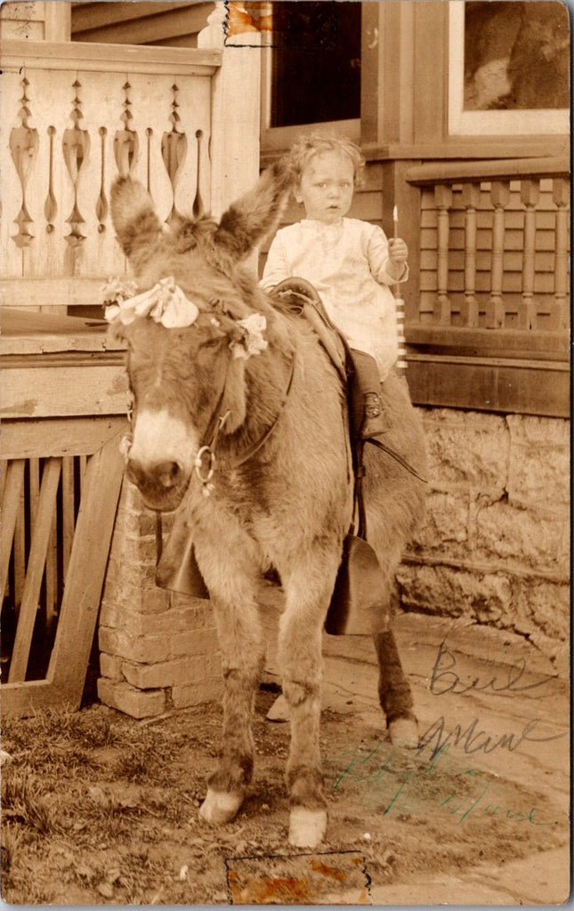 People - Child - sitting on a donkey with flowers around eyes RPPC - 800914