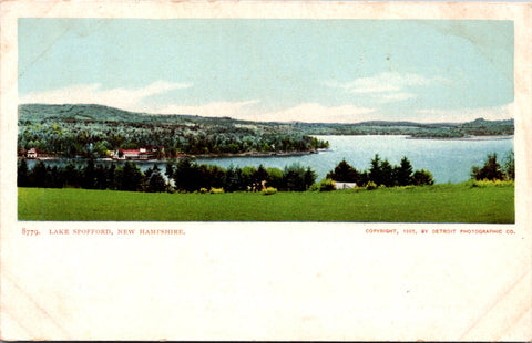 NH, LAKE SPOFFORD - BEV shows lake, bldgs etc- Detroit Photographic postcard -