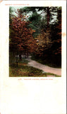 MA, FITCHBURG - Whalom Park, Theatre Landing - Detroit Photographic postcard - 801124