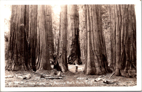 CA, Visalia? - Sequoia Nat'l Park, Founders Camp w/man - RPPC postcard - A06026