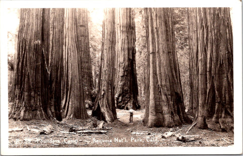 CA, VISALIA? - Sequoia Nat'l Park, Founders Camp w/man - RPPC postcard - A06026