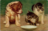Animal - Cat or Cats postcard - puppy looking at 2 kittens - A06075