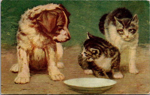 Animal - Cat or Cats postcard - puppy looking at 2 kittens - A06075
