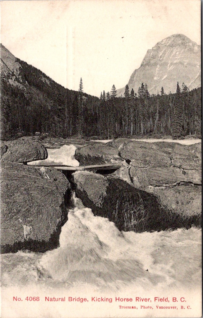 Canada - FIELD, BC - Kicking Horse River, Natural bridge postcard - A06430