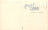 MI, Detroit - Elks Temple (new) postcard - A07102