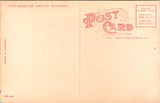MA, HOLYOKE - Stafford & Porter Halls postcard - A12523