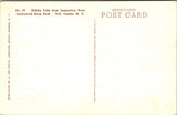 NY, CASTILE - Letchworth State Park - Middle Falls postcard - A17058