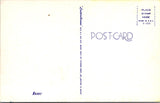 Animal - Dog or Dogs - BOXER postcard - A17352