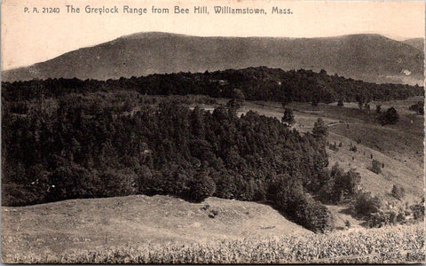 MA, Williamstown - Greylock Range from Bee Hill postcard - A19411