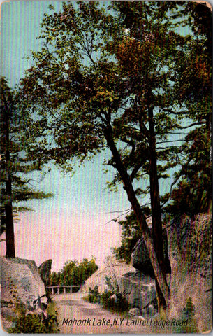NY, MOHONK LAKE - Laurel Ledge Road postcard - B05078