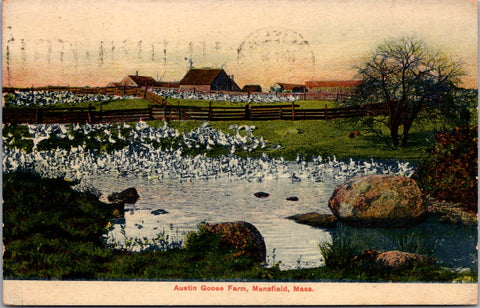 MA, Mansfield - Austin Goose Farm - Doremus cancel postcard - B05331