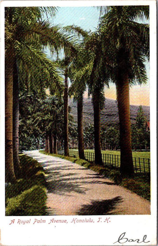 HI, HONOLULU, (Territory of Hawaii) - 1907 postcard - B06465