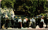 IL, CHICAGO - People watching Sea Lions postcard - B10033