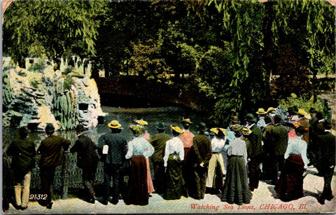 IL, CHICAGO - People watching Sea Lions postcard - B10033
