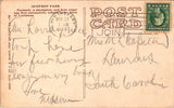 LA, NEW ORLEANS - Audubon Park, 1000 year old oaks postcard - B17175