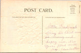 Xmas - cat or kitten with a pink ribbon on its neck postcard - C-0013