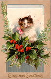 Xmas - cat or kitten with a pink ribbon on its neck postcard - C-0013