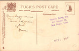 Greetings - Misc - Dutch Boy - TUCK Birthday Series postcard - C06213