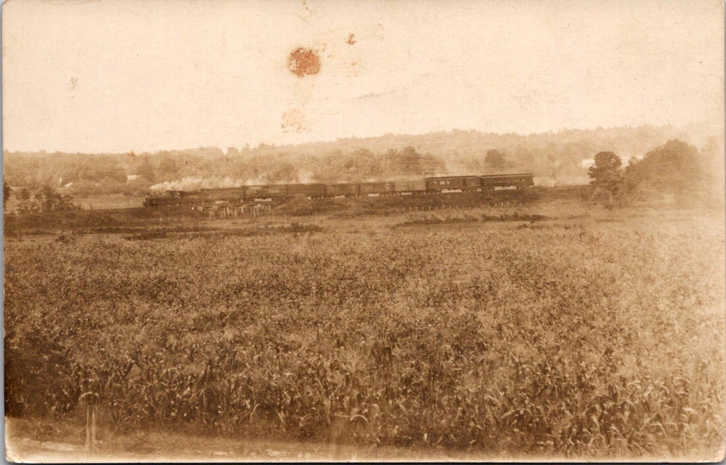 NY, Canajoharie - Albany & Boston train running in field - C06385