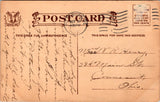 Animal - Dog or Dogs - ENGLISH SPRINGER SPANIEL postcard - C06583