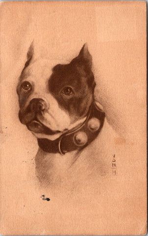 Animal - Dog or Dogs - BOSTON TERRIER postcard - C06584