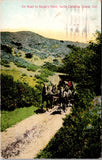 CA, SANTA CATALINA ISLAND - Road to Eagles Nest, horse & buggy postcard - C08223